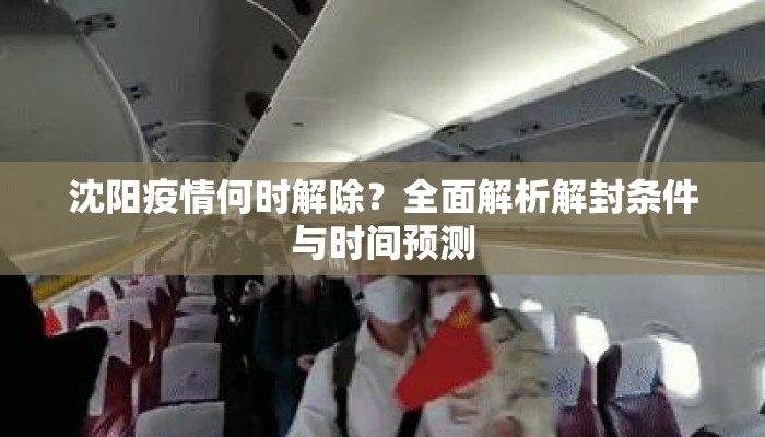 沈阳疫情何时解除？全面解析解封条件与时间预测