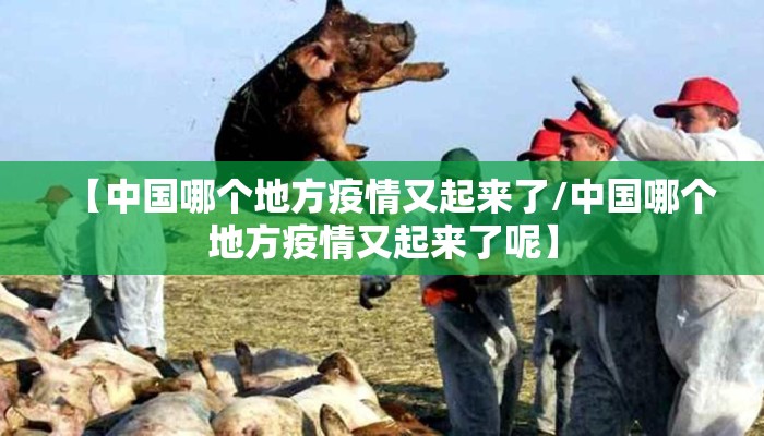 【中国哪个地方疫情又起来了/中国哪个地方疫情又起来了呢】
