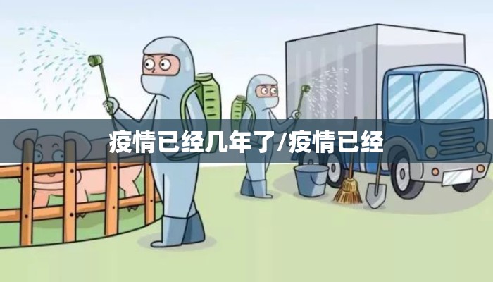 疫情已经几年了/疫情已经