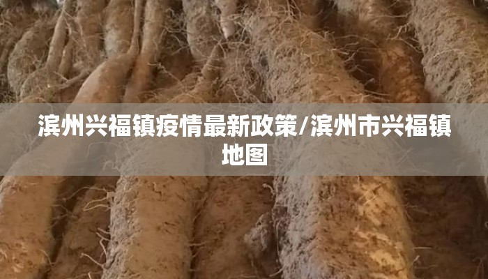 滨州兴福镇疫情最新政策/滨州市兴福镇地图