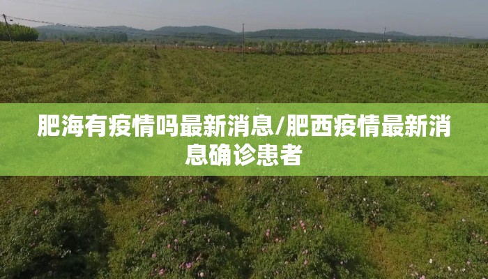 肥海有疫情吗最新消息/肥西疫情最新消息确诊患者