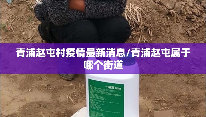 青浦赵屯村疫情最新消息/青浦赵屯属于哪个街道