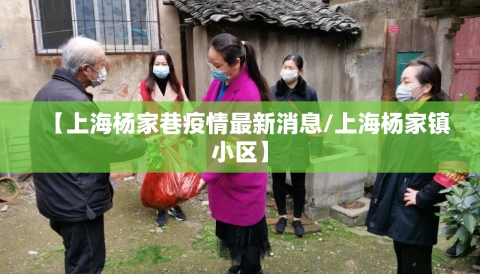 【上海杨家巷疫情最新消息/上海杨家镇小区】
