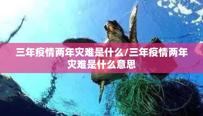 三年疫情两年灾难是什么/三年疫情两年灾难是什么意思