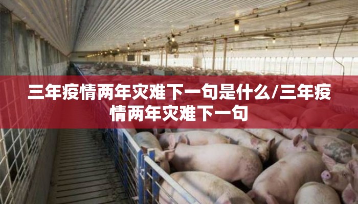 三年疫情两年灾难下一句是什么/三年疫情两年灾难下一句