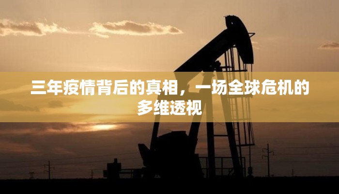 三年疫情背后的真相，一场全球危机的多维透视