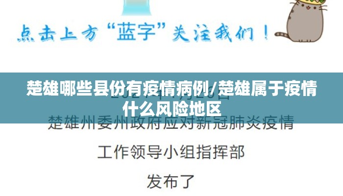 楚雄哪些县份有疫情病例/楚雄属于疫情什么风险地区