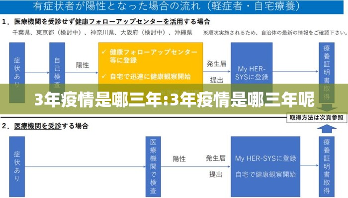 3年疫情是哪三年:3年疫情是哪三年呢