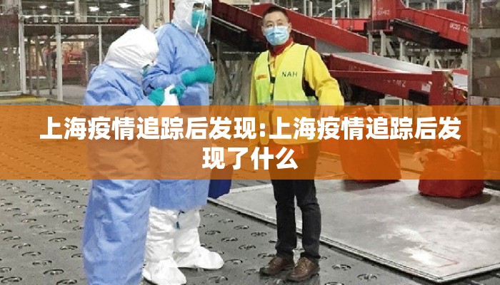 上海疫情追踪后发现:上海疫情追踪后发现了什么