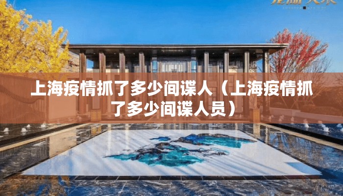 上海疫情抓了多少间谍人（上海疫情抓了多少间谍人员）