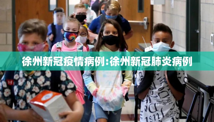 徐州新冠疫情病例:徐州新冠肺炎病例