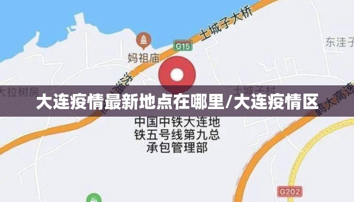 大连疫情最新地点在哪里/大连疫情区