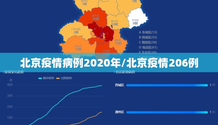 北京疫情病例2020年/北京疫情206例