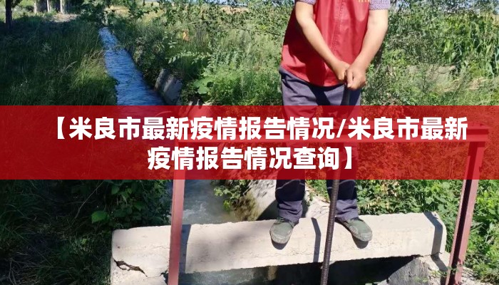 【米良市最新疫情报告情况/米良市最新疫情报告情况查询】