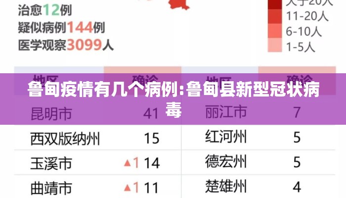 鲁甸疫情有几个病例:鲁甸县新型冠状病毒