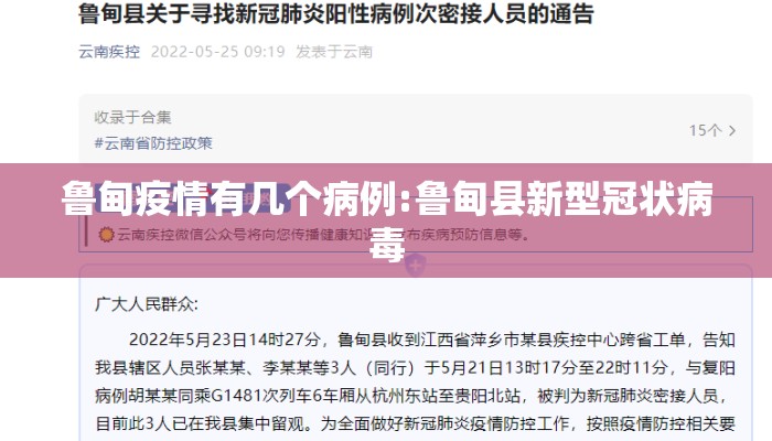 鲁甸疫情有几个病例:鲁甸县新型冠状病毒