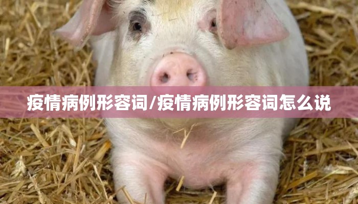 疫情病例形容词/疫情病例形容词怎么说
