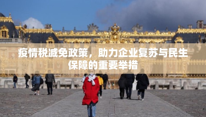 疫情税减免政策，助力企业复苏与民生保障的重要举措