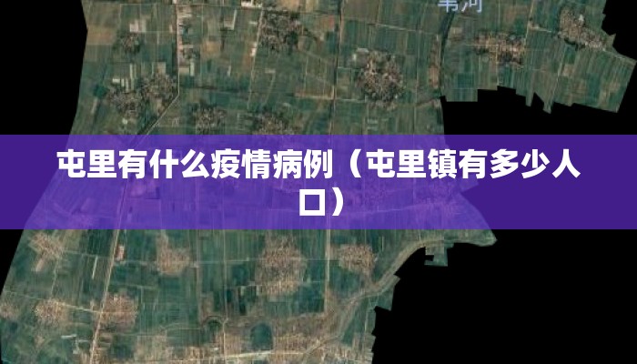 屯里有什么疫情病例（屯里镇有多少人口）