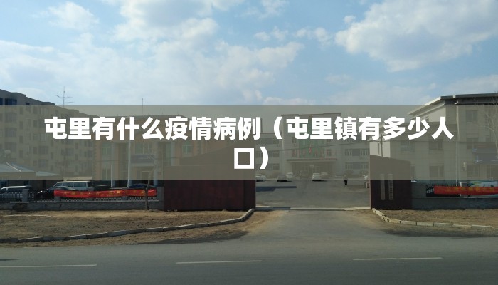 屯里有什么疫情病例（屯里镇有多少人口）