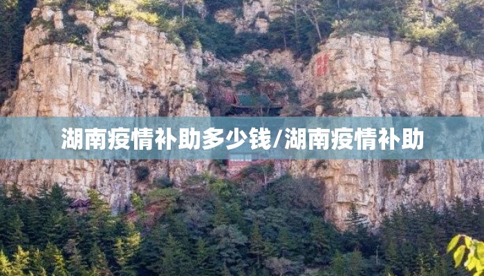 湖南疫情补助多少钱/湖南疫情补助