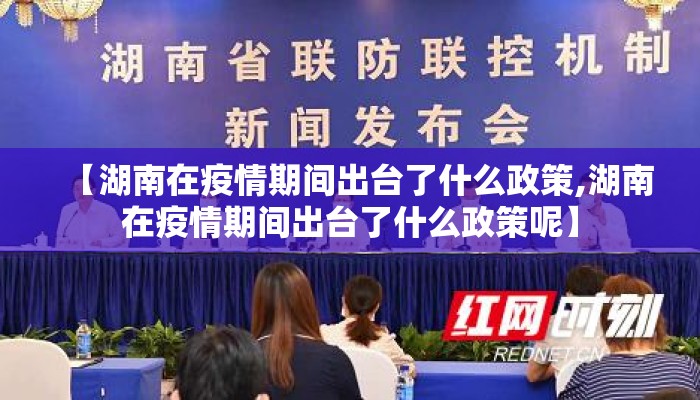 【湖南在疫情期间出台了什么政策,湖南在疫情期间出台了什么政策呢】