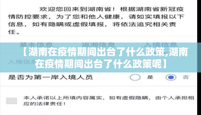 【湖南在疫情期间出台了什么政策,湖南在疫情期间出台了什么政策呢】