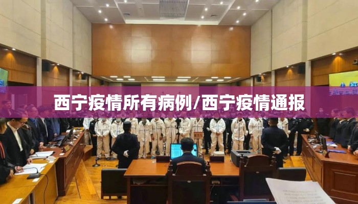 西宁疫情所有病例/西宁疫情通报
