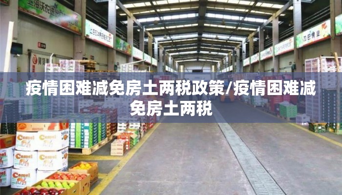 疫情困难减免房土两税政策/疫情困难减免房土两税
