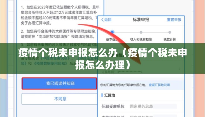 疫情个税未申报怎么办（疫情个税未申报怎么办理）