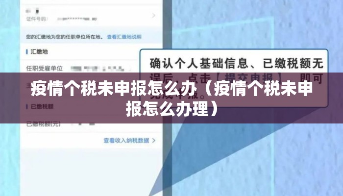 疫情个税未申报怎么办（疫情个税未申报怎么办理）