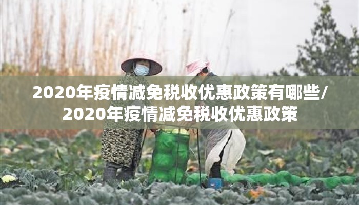 2020年疫情减免税收优惠政策有哪些/2020年疫情减免税收优惠政策