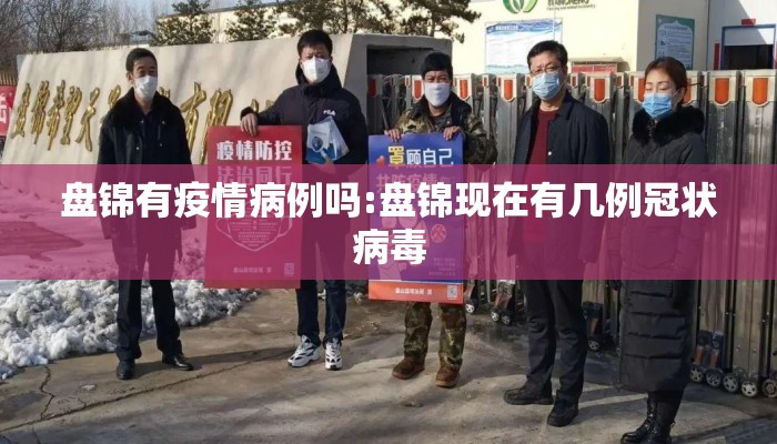 盘锦有疫情病例吗:盘锦现在有几例冠状病毒