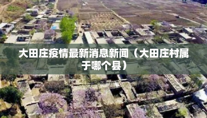 大田庄疫情最新消息新闻（大田庄村属于哪个县）