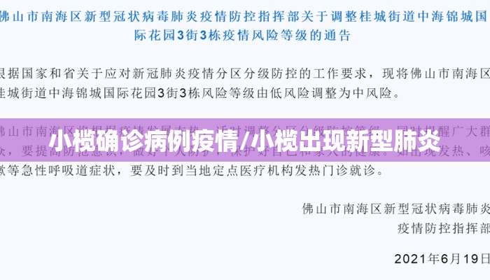 小榄确诊病例疫情/小榄出现新型肺炎