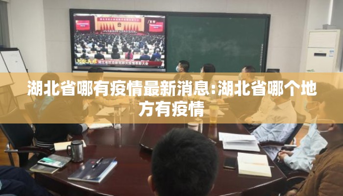 湖北省哪有疫情最新消息:湖北省哪个地方有疫情
