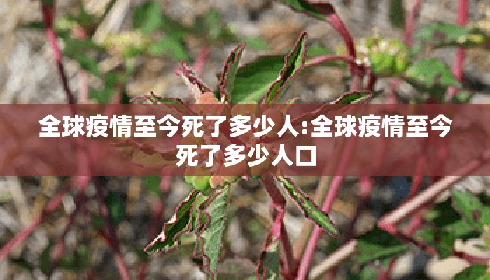 全球疫情至今死了多少人:全球疫情至今死了多少人口