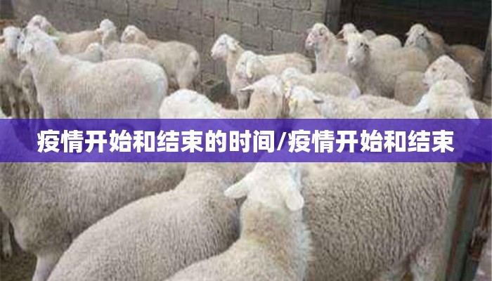 疫情开始和结束的时间/疫情开始和结束