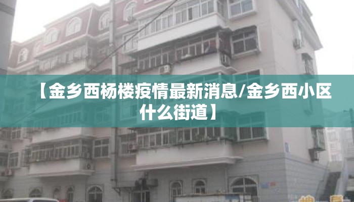 【金乡西杨楼疫情最新消息/金乡西小区什么街道】