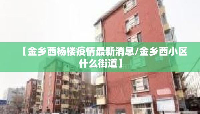 【金乡西杨楼疫情最新消息/金乡西小区什么街道】