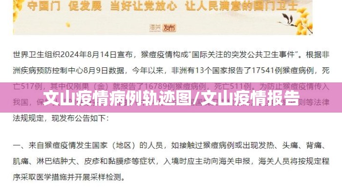 文山疫情病例轨迹图/文山疫情报告