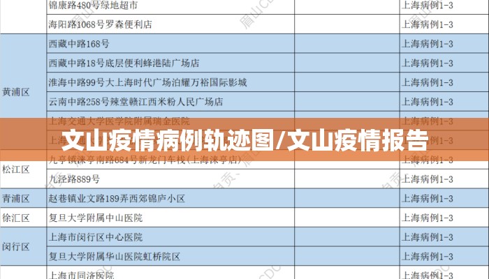 文山疫情病例轨迹图/文山疫情报告