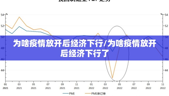为啥疫情放开后经济下行/为啥疫情放开后经济下行了
