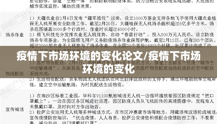 疫情下市场环境的变化论文/疫情下市场环境的变化