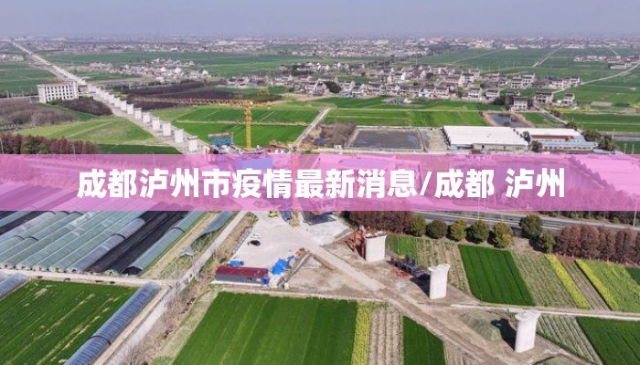成都泸州市疫情最新消息/成都 泸州