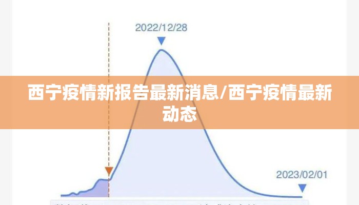 西宁疫情新报告最新消息/西宁疫情最新动态