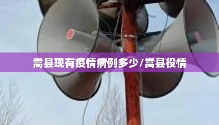 嵩县现有疫情病例多少/嵩县役情