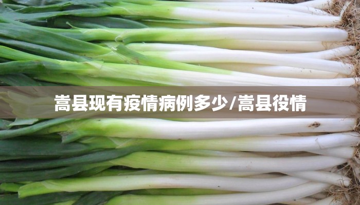 嵩县现有疫情病例多少/嵩县役情