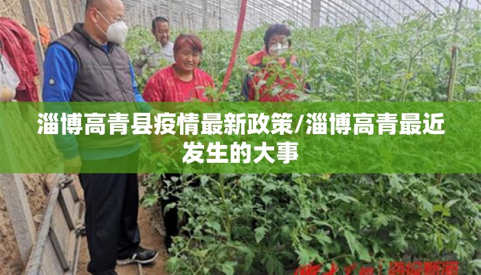 淄博高青县疫情最新政策/淄博高青最近发生的大事