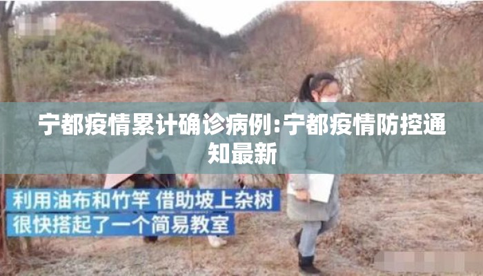 宁都疫情累计确诊病例:宁都疫情防控通知最新